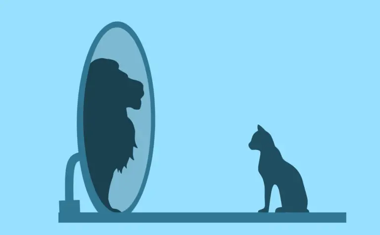 a vector image of a cat looking into a mirror and seeing a lion - it is the main image for the article "how to improve self-esteem"